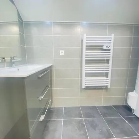 Spacieux Et Elegant Apartment Laon