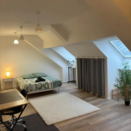 Apartman Spacieux Et Elegant Laon