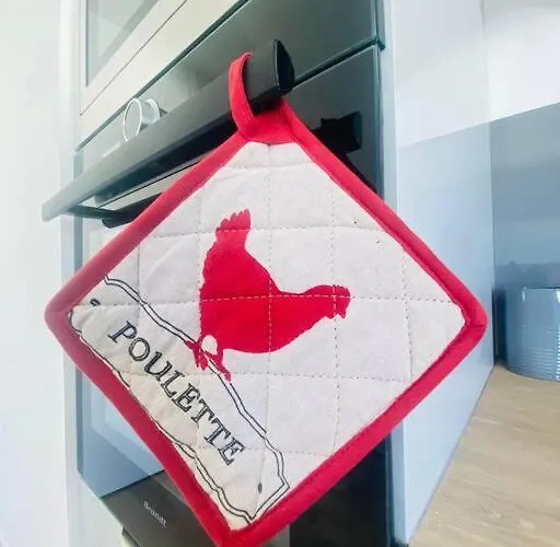 Spacieux Et élégant Appartement