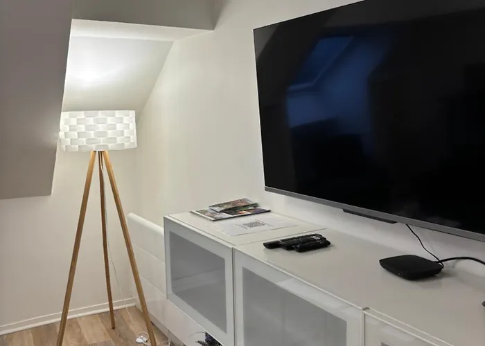 Appartement Spacieux Et élégant