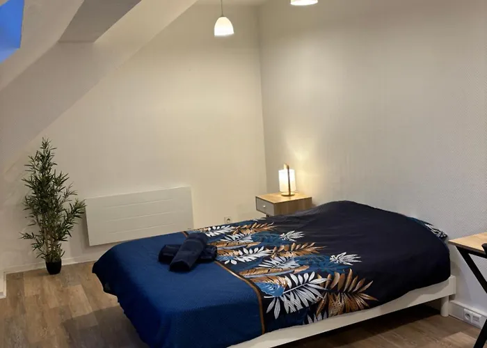 Appartement Spacieux Et élégant