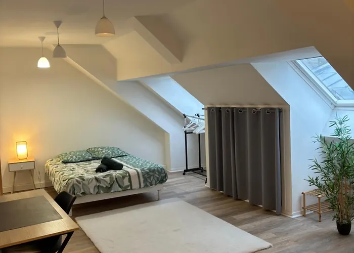 Appartement Spacieux Et élégant Laon